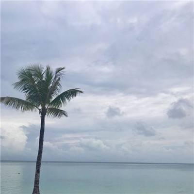新战国群雄手机游戏下载
