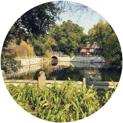 小白不言弃4399版下载
